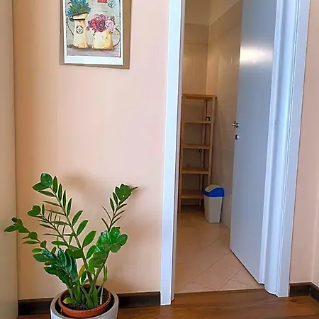 Bed and Breakfast Sogni E Colori Villanova d'Albenga